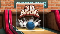 3d Bowling