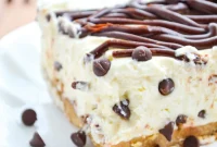 Easy No-Bake Chocolate Chip Cheesecake