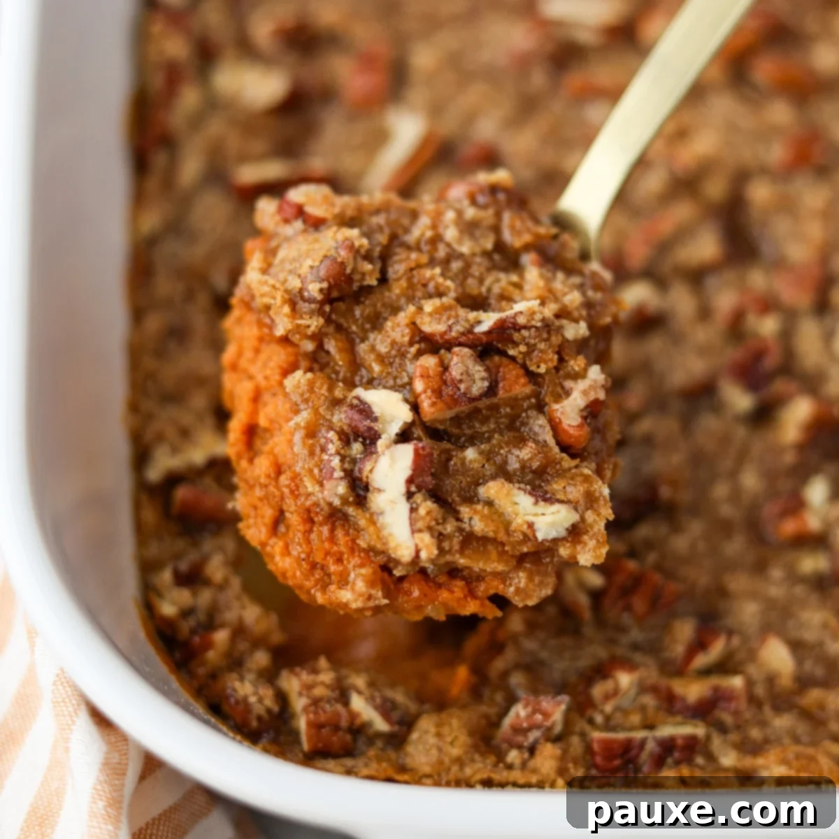 Golden Pumpkin Delight 1 featured 14997