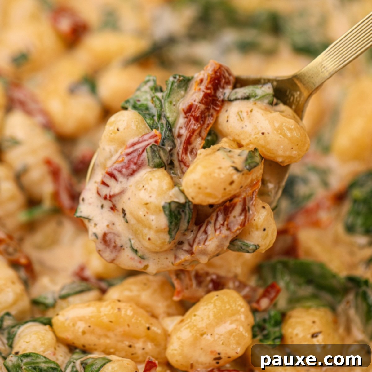 Rustic Tuscan Gnocchi 1 featured 16387