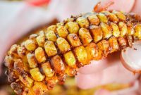 Easy Crispy Air Fryer Corn Ribs Video Recipe
