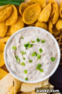 Quick & Creamy French Onion Dip 11 An overhead view of french onion dip garnished with green onions.