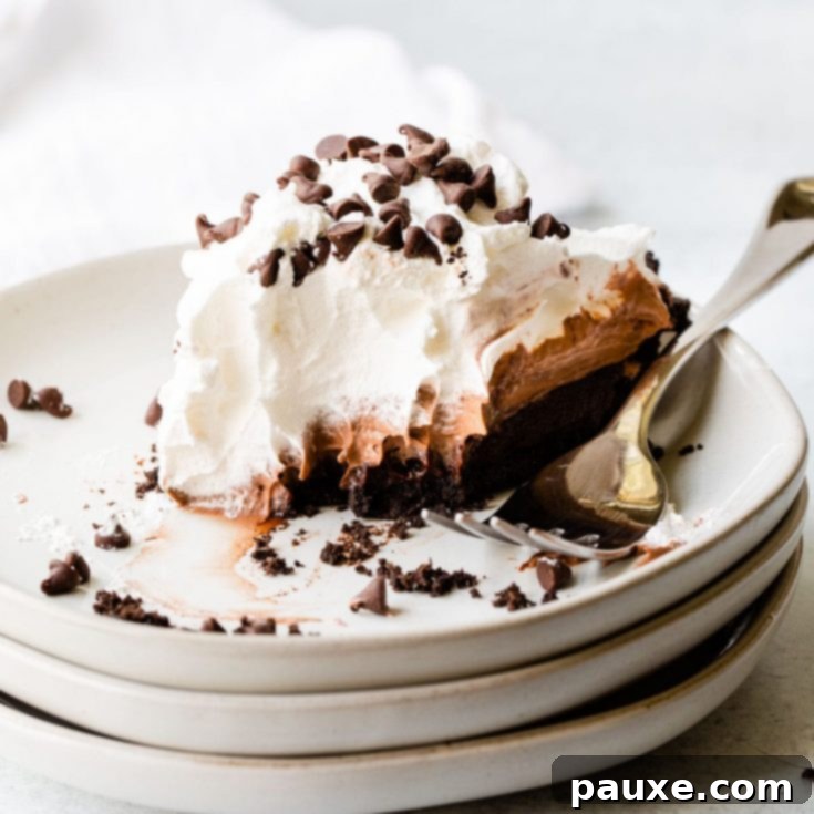 30 Irresistible No Bake Pie Delights 11 Simple No Bake Chocolate Pie with Cookie Crust