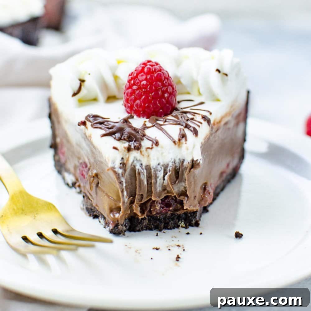 30 Irresistible No Bake Pie Delights 12 Popping No Bake Chocolate Raspberry Pie