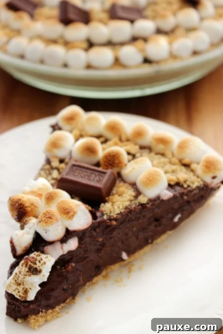 30 Irresistible No Bake Pie Delights 15 No Bake S'Mores Pie with Marshmallows, Chocolate, and Graham Crackers