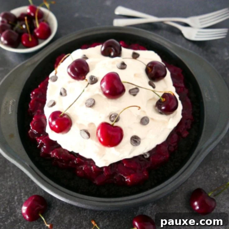 30 Irresistible No Bake Pie Delights 23 Black Forest Cherry Pie (No Bake Version)