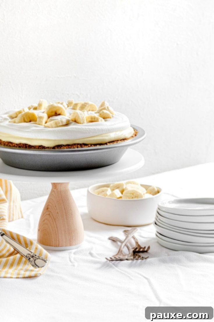 30 Irresistible No Bake Pie Delights 25 Banana Pudding Pie