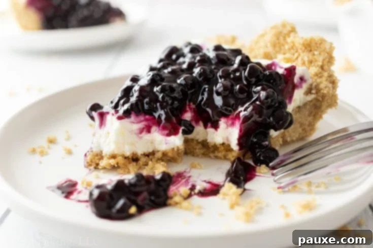 30 Irresistible No Bake Pie Delights 28 Blueberry Cream Cheese Pie