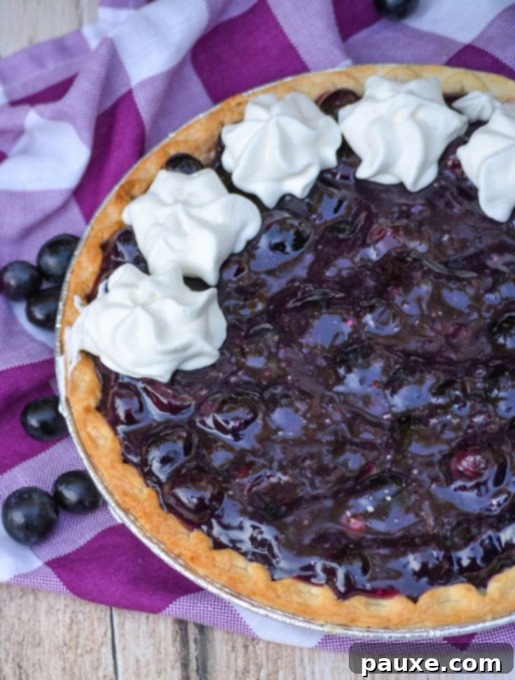 30 Irresistible No Bake Pie Delights 32 No Bake Grape Jello Pie