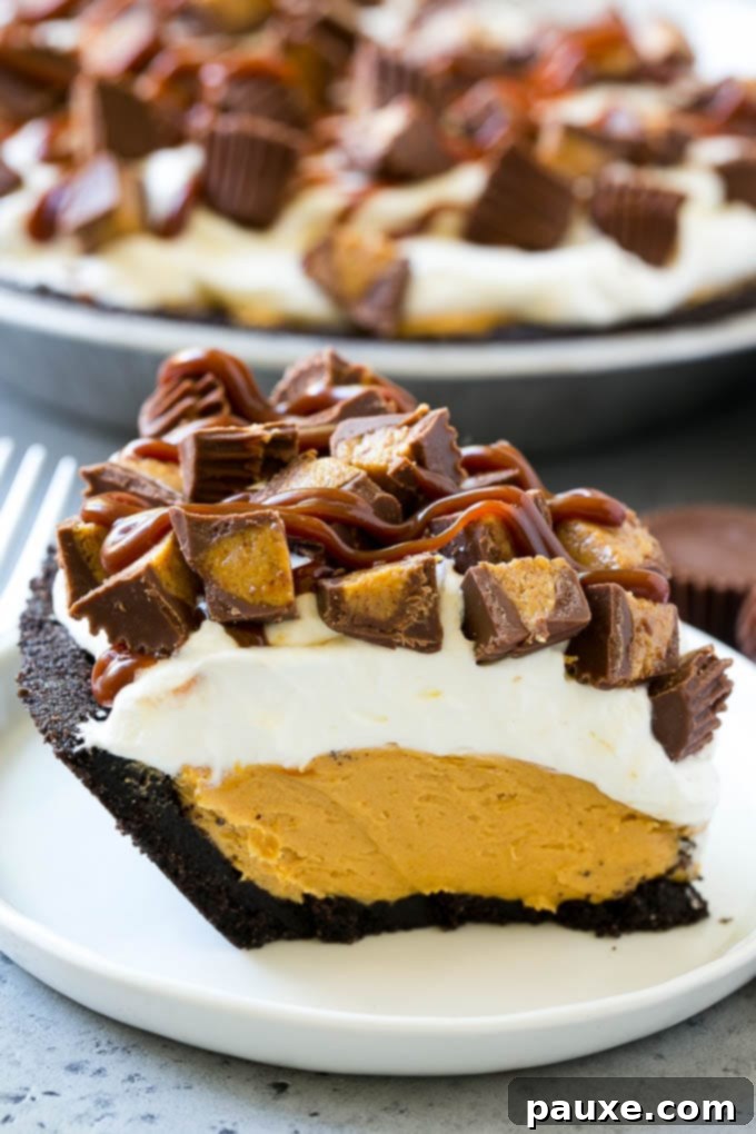 30 Irresistible No Bake Pie Delights 6 Chocolate Peanut Butter Pie with Oreo Crust and Peanut Butter Cups