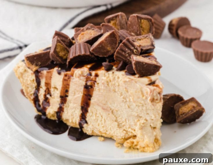 30 Irresistible No Bake Pie Delights 7 Old Fashioned Peanut Butter Pie