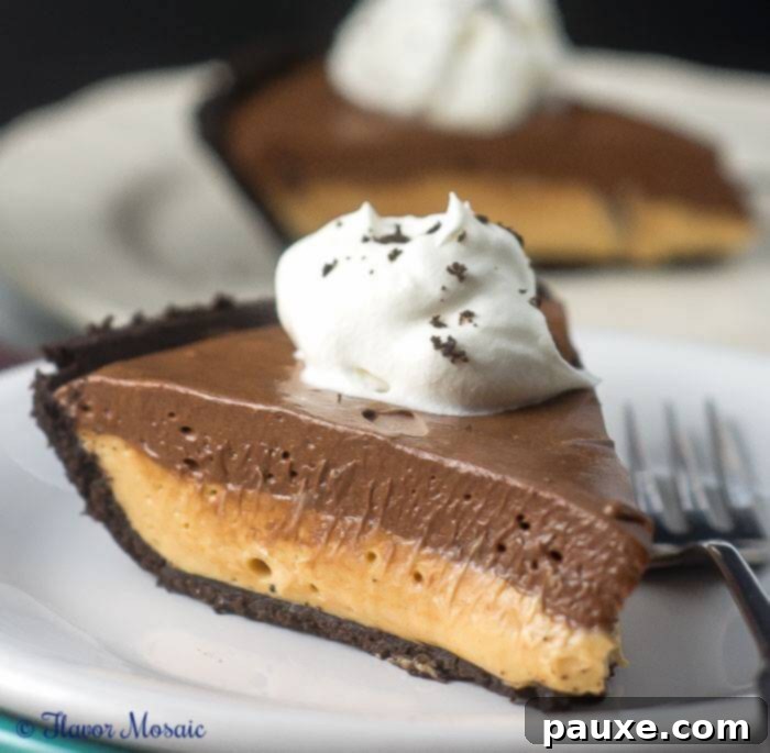 30 Irresistible No Bake Pie Delights 8 Chocolate Peanut Butter No Bake Pie