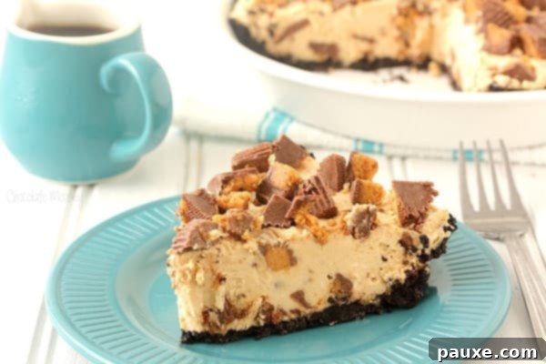 30 Irresistible No Bake Pie Delights 9 No Bake Peanut Butter Cup Pie