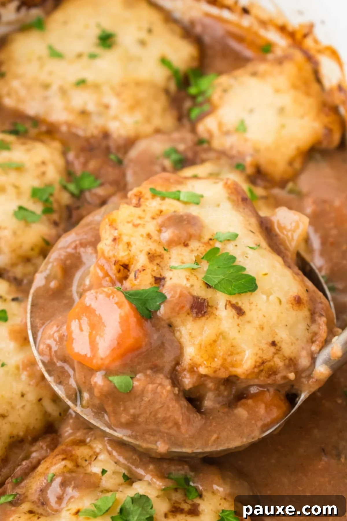 Comforting Slow Cooker Beef Stew and Dumplings 16 A ladle full of rich beef stew with a perfectly fluffy homemade dumpling perched on top, ready to be served.