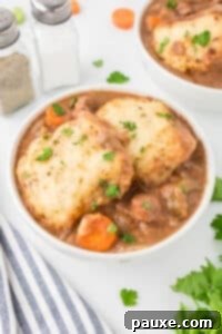 Comforting Slow Cooker Beef Stew and Dumplings 25 A bowl filled with beef stew and topped with two homemade dumplings.