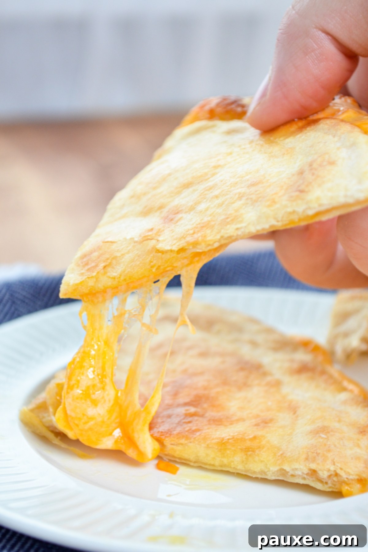 A perfectly golden brown air fryer quesadilla, ready to be cut.