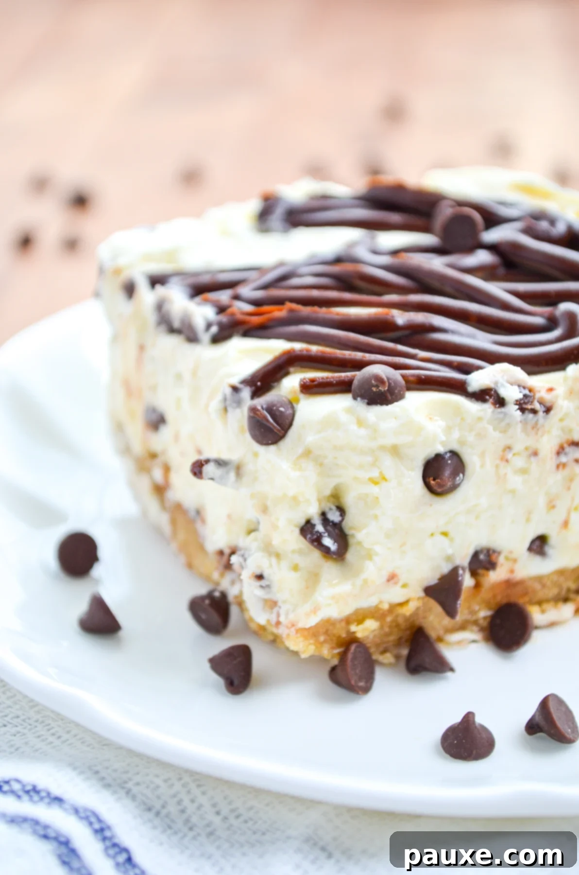 Easy No-Bake Chocolate Chip Cheesecake 7 A finished slice of no-bake chocolate chip cheesecake with a generous drizzle of chocolate ganache.