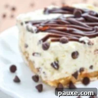 Easy No-Bake Chocolate Chip Cheesecake 10 Mini chocolate chips scattered around a no bake chocolate chip cheesecake.
