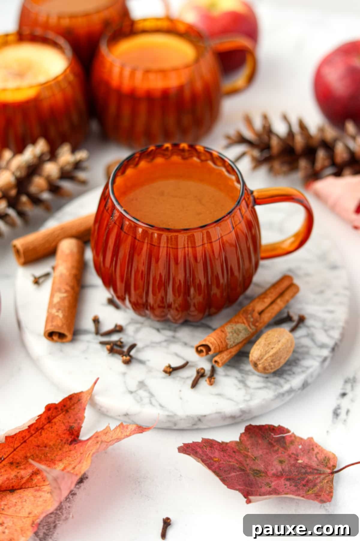 Golden Pumpkin Harvest Brew 2 A pumpkin shaped mug filled with homemade pumpkin cider, garnished with spices.