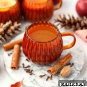 Golden Pumpkin Harvest Brew 8 A pumpkin shaped mug filled with homemade cider. Nutmeg, cinnamon sticks, and cloves are on the marble below.