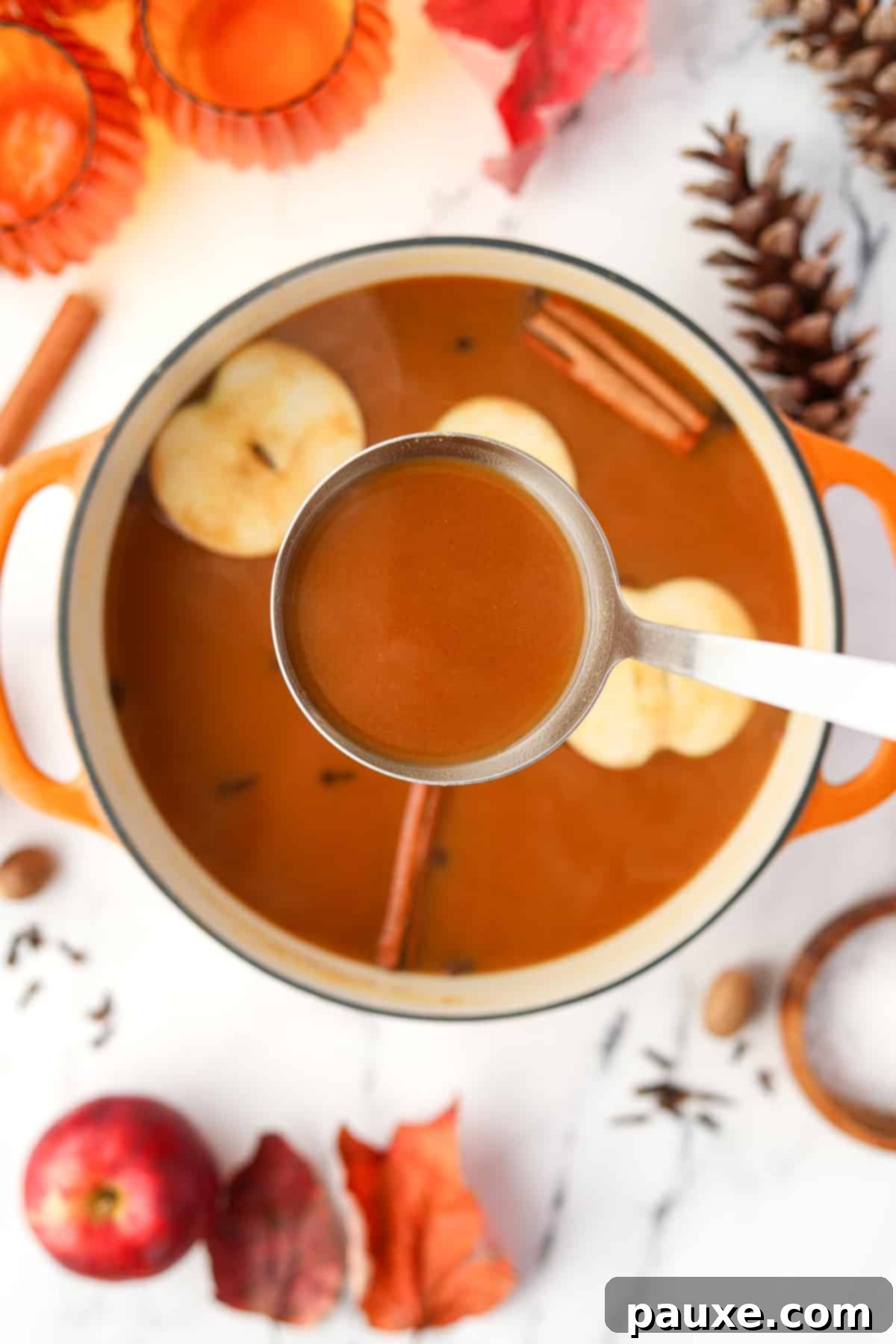 Golden Pumpkin Harvest Brew 5 A ladle pulling apple cider from a Dutch oven, with apple slices floating below the surface.