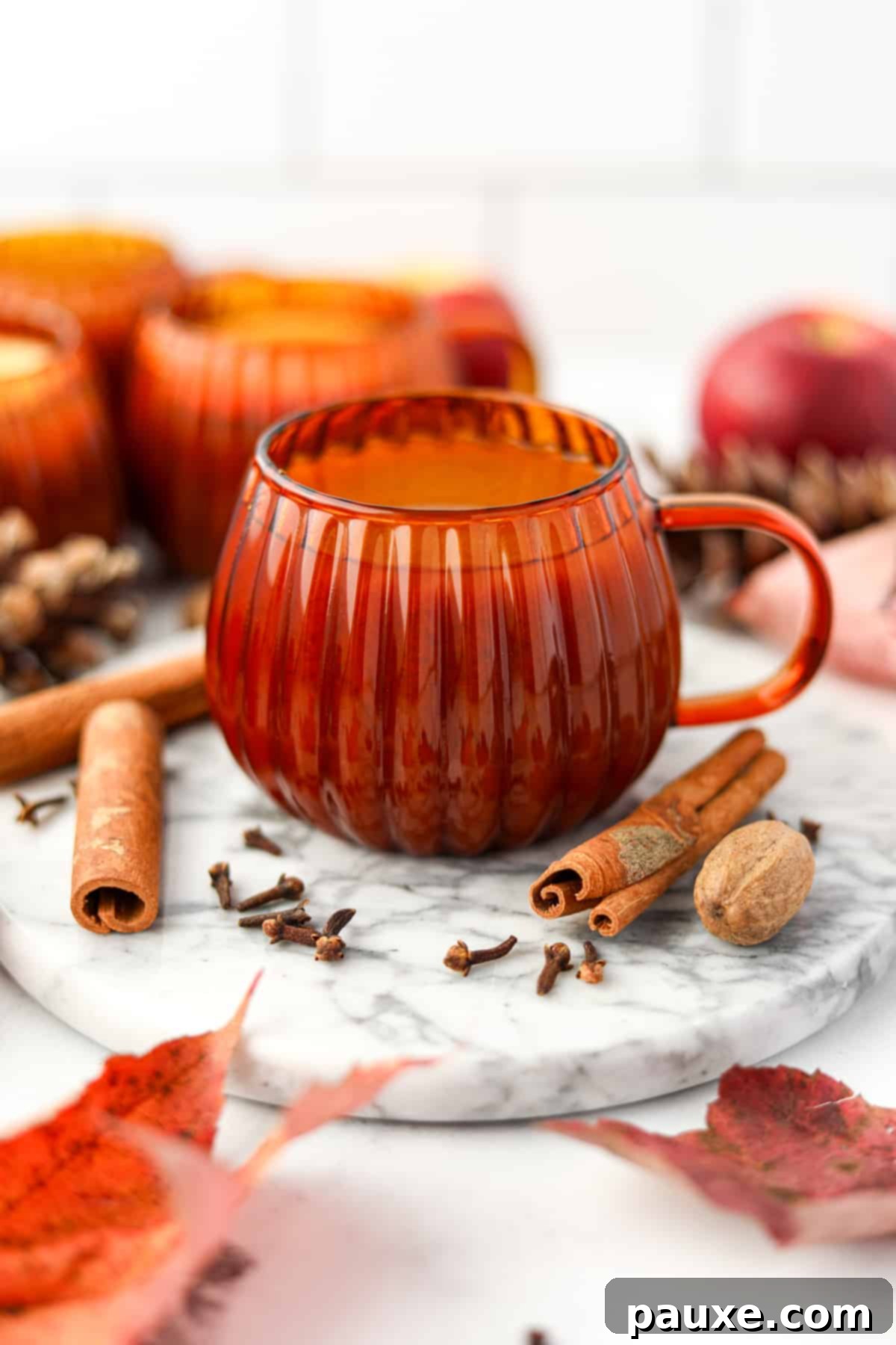 Golden Pumpkin Harvest Brew 7 An orange glass mug filled with pumpkin cider, with cinnamon sticks, cloves, and nutmeg arranged artfully around the glass.