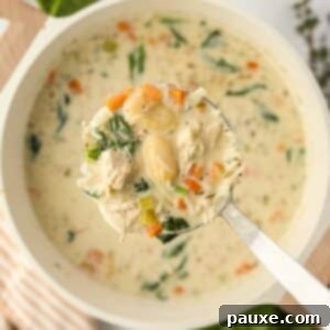 A ladle full of creamy soup being lifted from a pot.