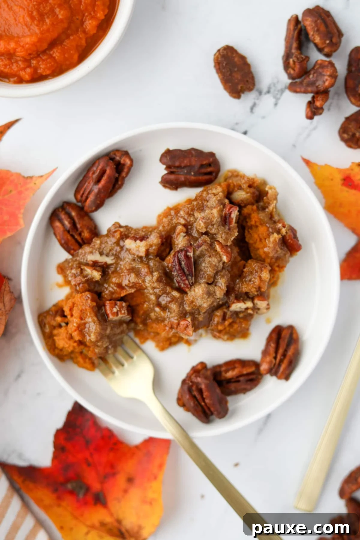 Golden Pumpkin Delight 8 A beautifully plated scoop of warm, creamy pumpkin casserole, elegantly topped with golden toasted pecans and a sprinkle of brown sugar, ready to be enjoyed.