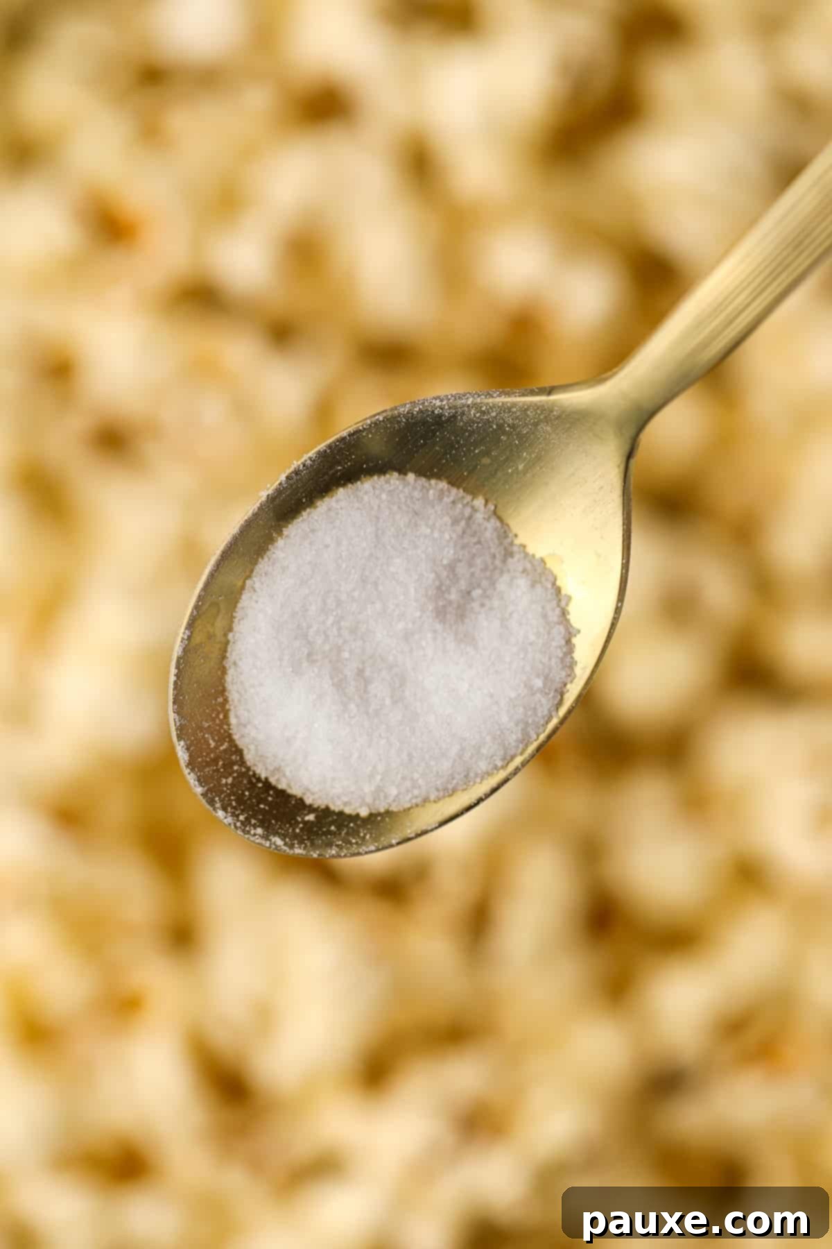 Artisan Popcorn Dust 2 Finely ground salt on a golden spoon with a blurry background of buttered popcorn.