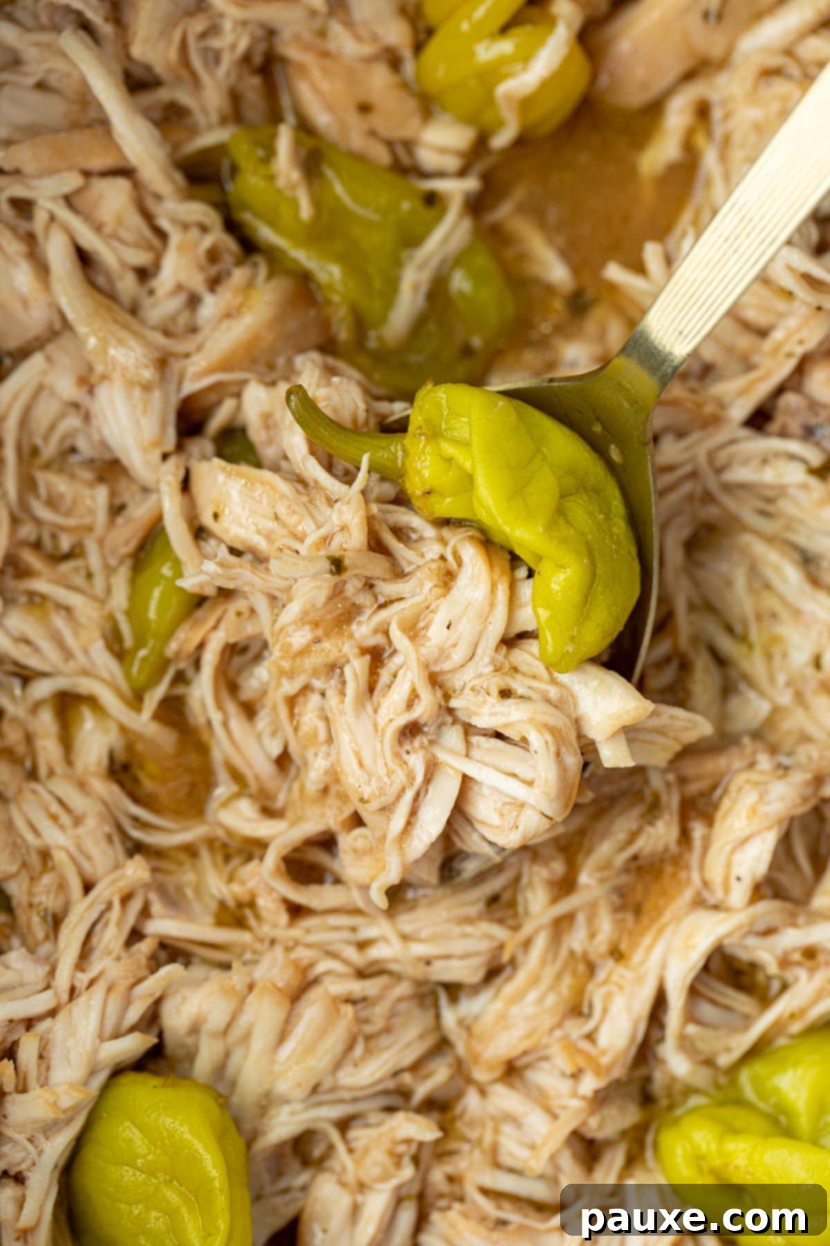 Mississippi Pot Roast Chicken 11 A spoon taking a portion of Mississippi chicken from a larger amount, showing the rich, savory sauce.