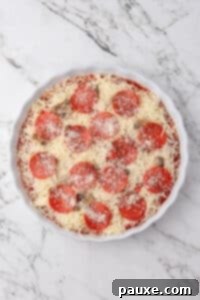 Baked Pepperoni Pizza Dip 15 A round baking dish filled with layered dip, and topped with shredded cheese and pepperoni.