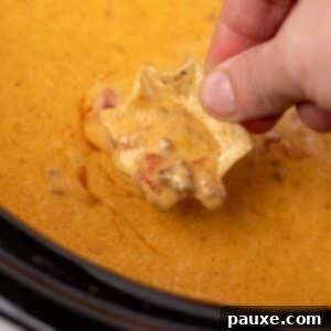 A tortilla chip dipping into a cheesy rotel dip in a slow cooker.