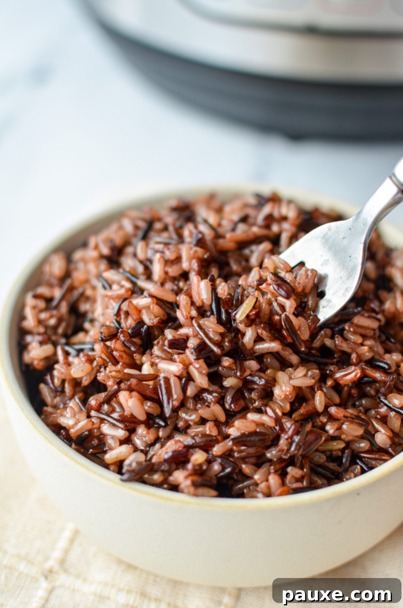 Perfect Instant Pot Wild Rice Medley 6 A bowl of wild rice, with a fork gently taking a portion, highlighting its appetizing texture.