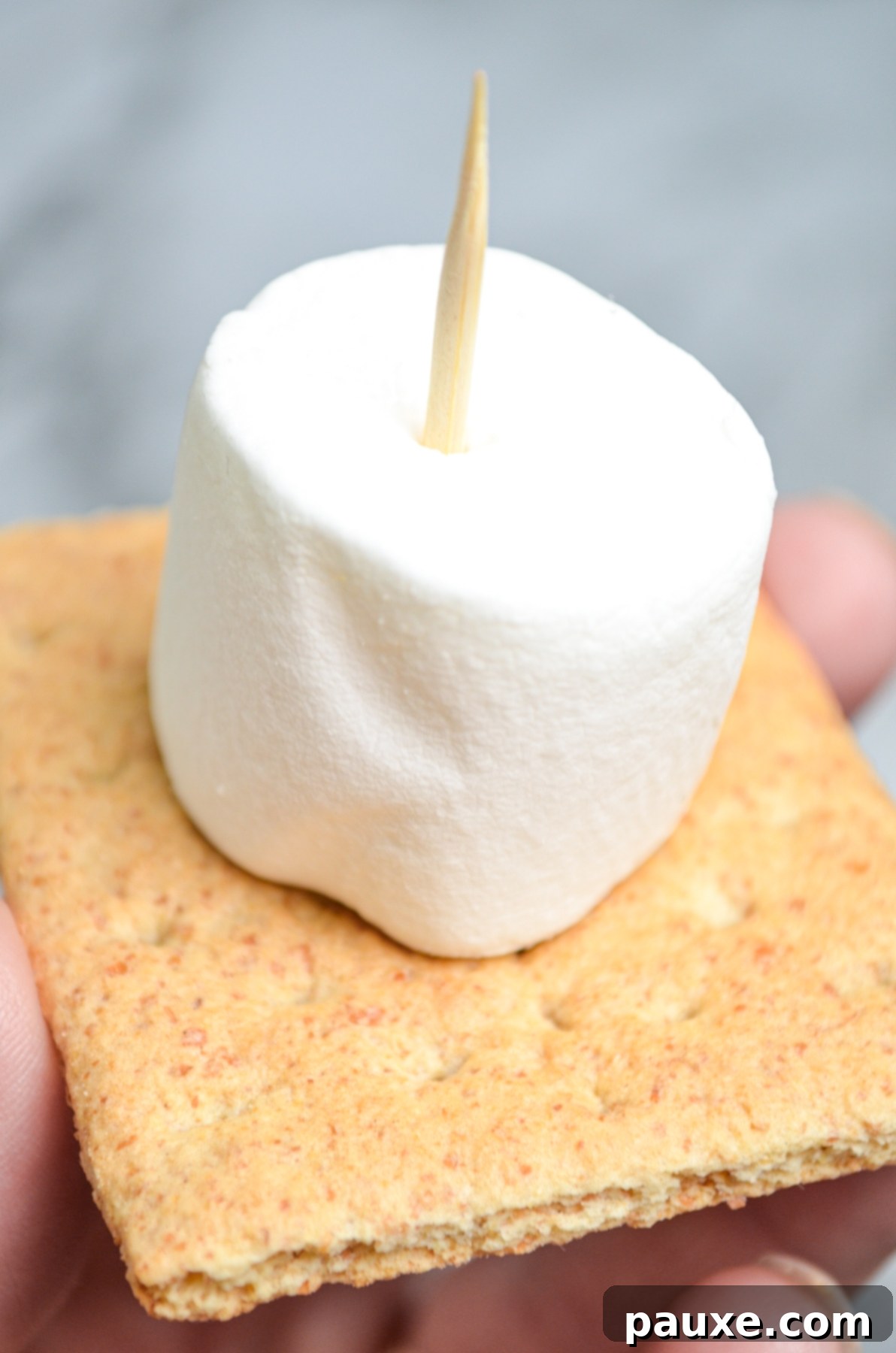 Air Fryer S'mores Magic 7 A graham cracker speared with a toothpick and a marshmallow.