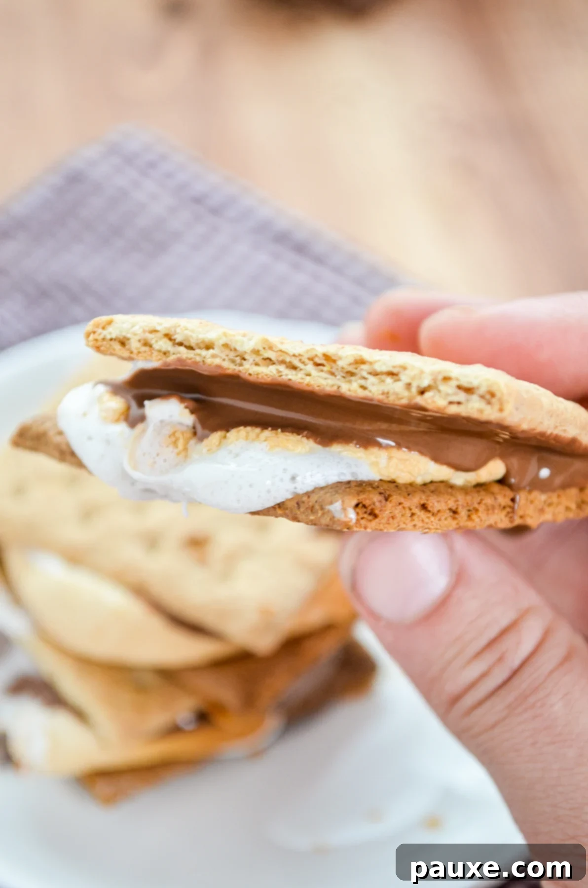 Air Fryer S'mores Magic 8 img 240 7
