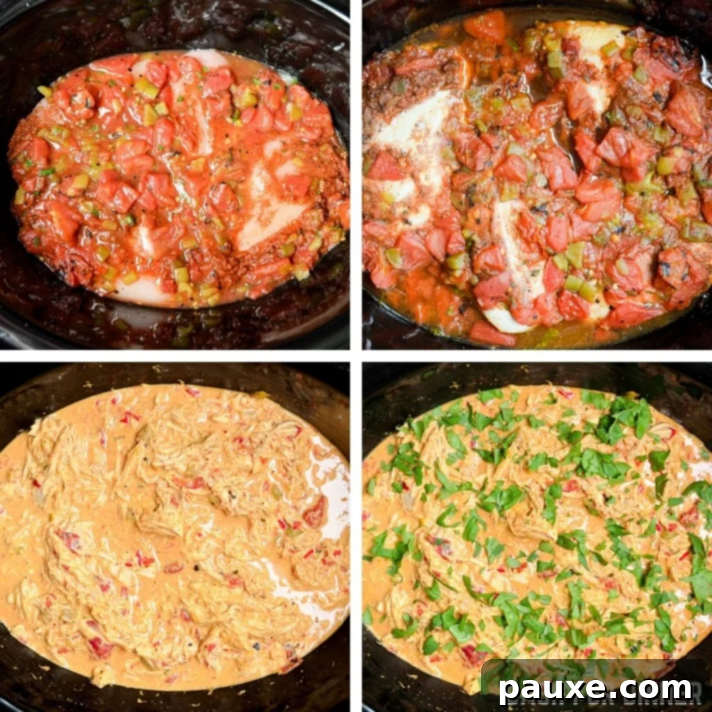 Creamy Slow Cooker Queso Chicken Tacos 6 Step-by-step assembly of queso chicken tacos in the slow cooker before cooking.