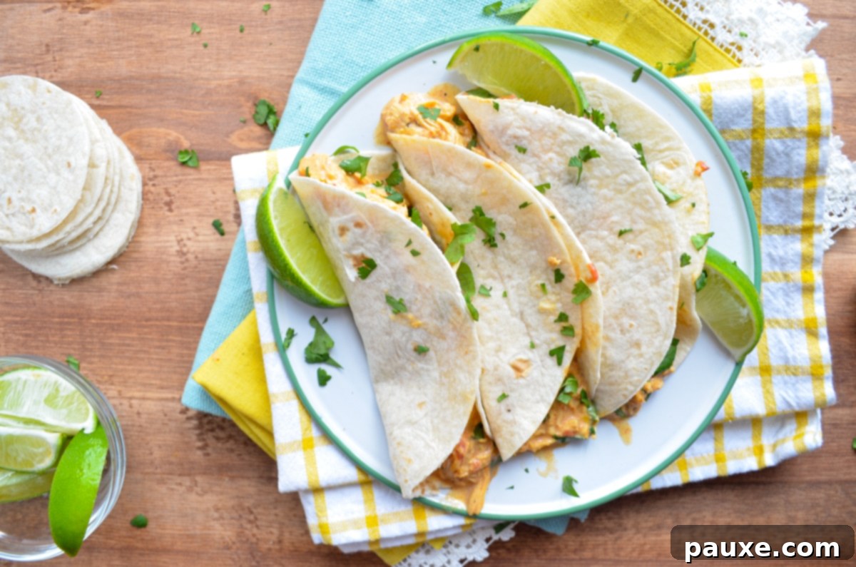 Creamy Slow Cooker Queso Chicken Tacos 7 A vibrant plate of three chicken queso tacos, ready to eat, with bright linens and a focus on the delicious filling.
