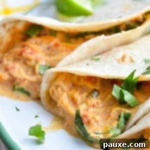 Creamy Slow Cooker Queso Chicken Tacos 9 A shredded chicken and queso filling inside of a flour tortilla, ready to be folded into a taco.