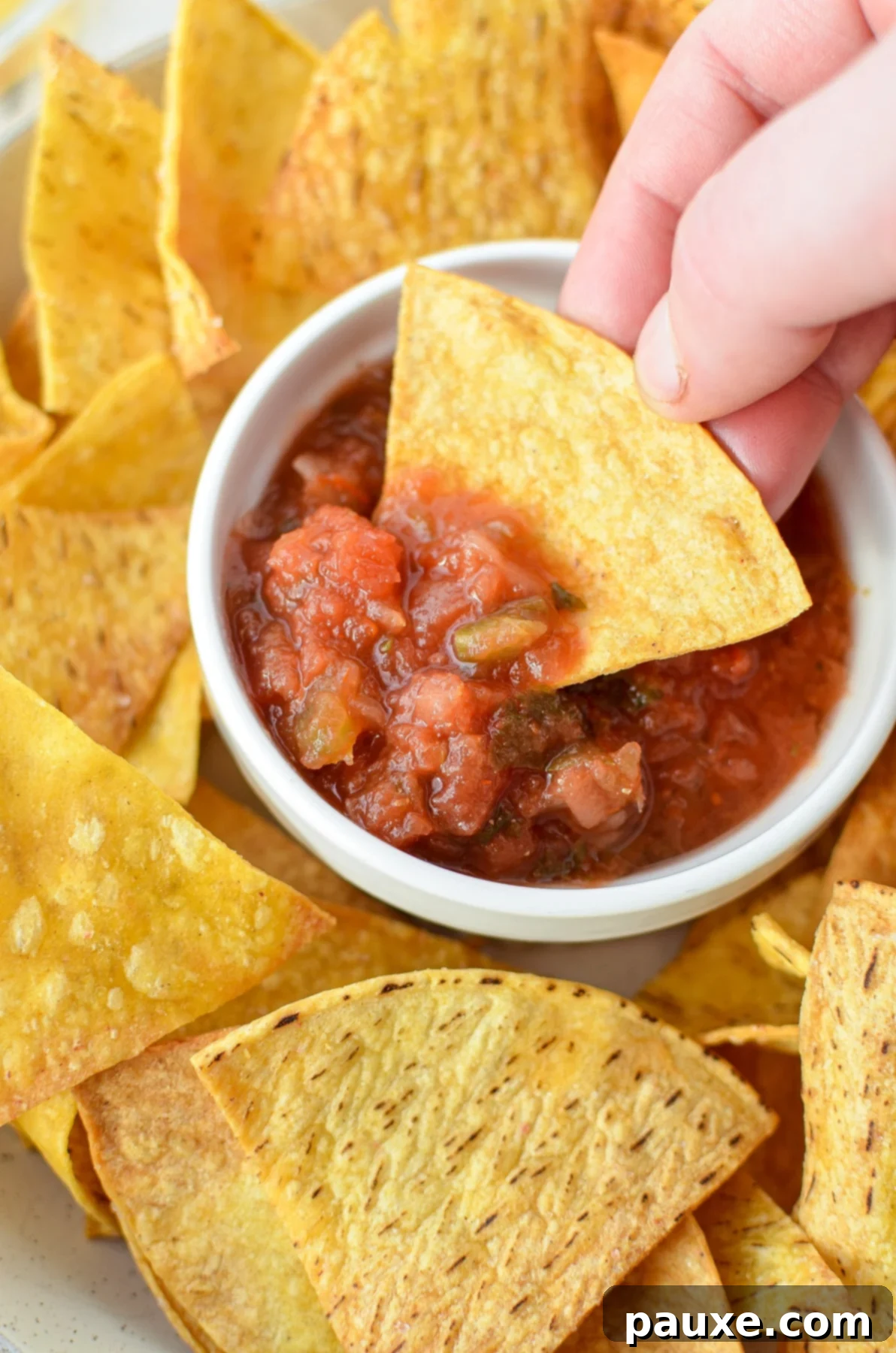 Dipping a corn tortilla chip into salsa.