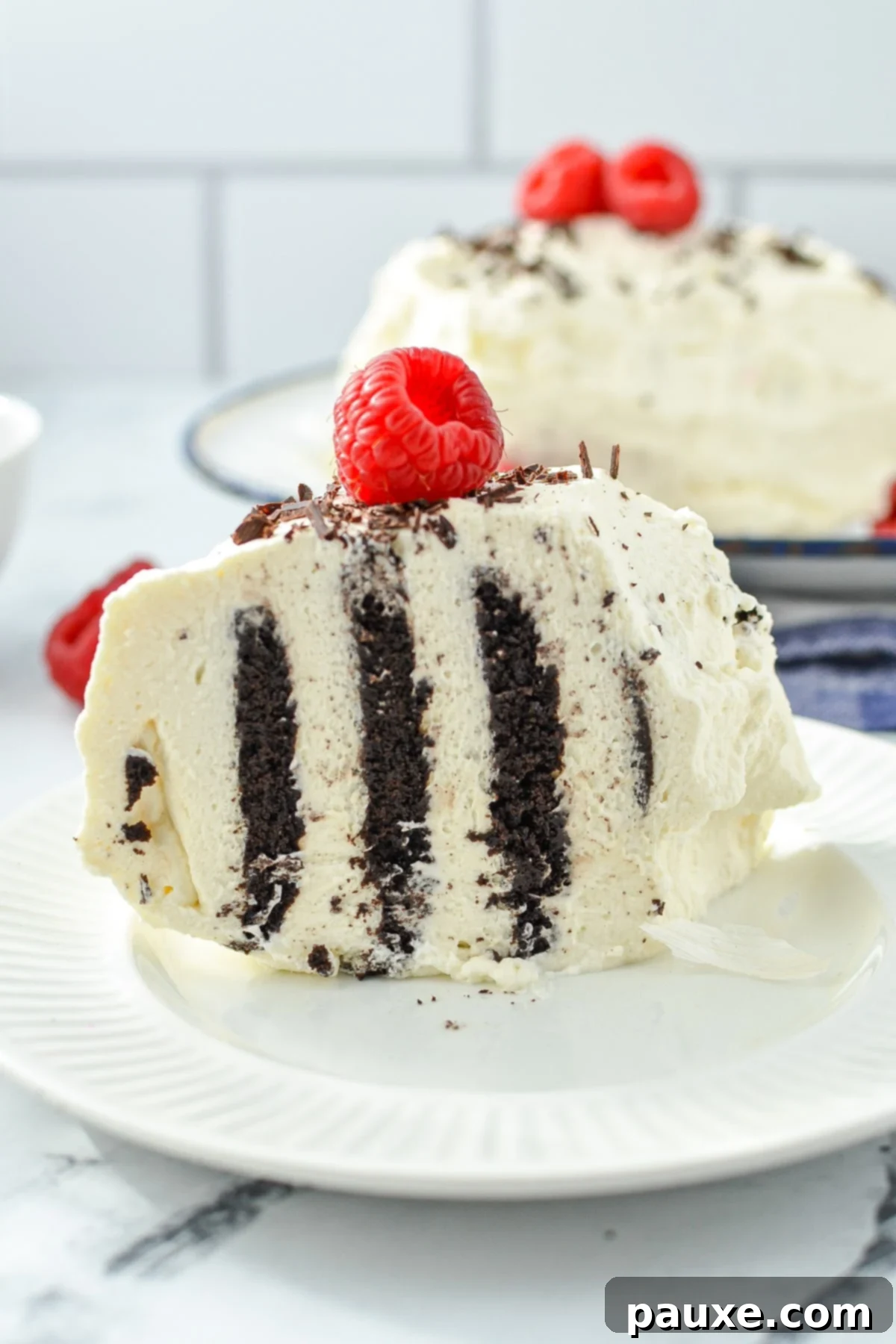 No-Bake Chocolate Wafer Zebra Delight 2 A perfectly sliced piece of Zebra Cake, revealing its beautiful striped pattern, garnished with a fresh raspberry.