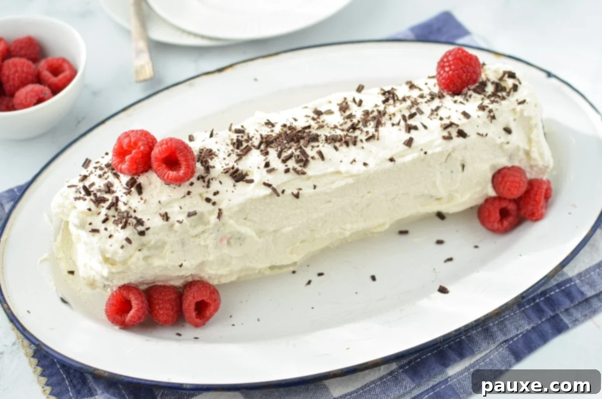 No-Bake Chocolate Wafer Zebra Delight 7 A fully chilled log cake, covered in smooth whipped cream and artfully garnished with chocolate shavings and fresh raspberries, ready for serving.