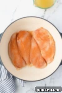 Ultimate Dutch Oven Pulled Chicken 12 A Dutch Oven with four seasoned chicken breasts.