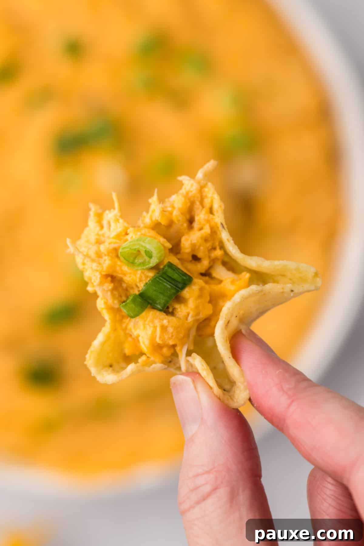 Zesty Slow Cooker Buffalo Chicken Dip 13 A sturdy tortilla scoop expertly filled with a generous amount of creamy buffalo chicken dip, ready for a bite.
