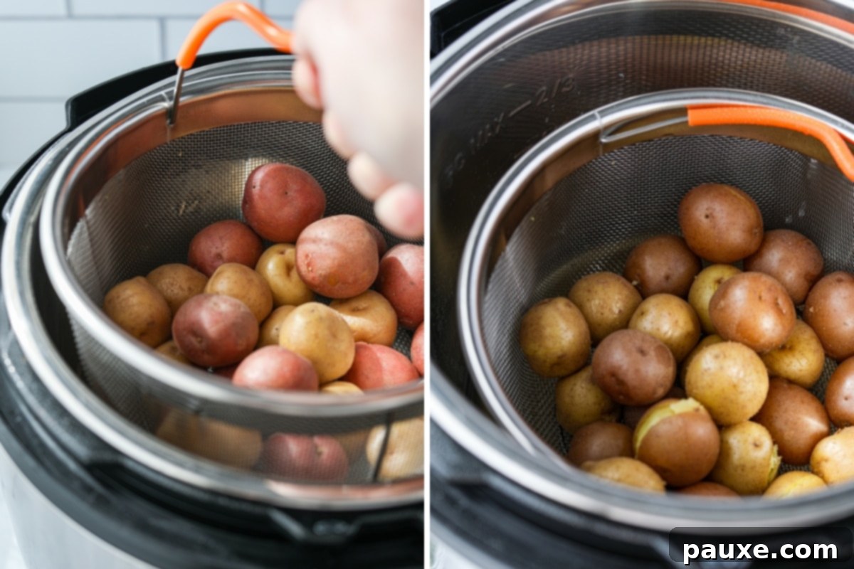 Perfect Instant Pot Baby Potatoes 4 A steamer basket filled with baby potatoes being carefully lowered into an Instant Pot, ready for pressure cooking.