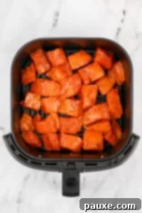 Air-Fried Salmon Nuggets 15 An air fryer basket filled with seasoned salmon chunks.