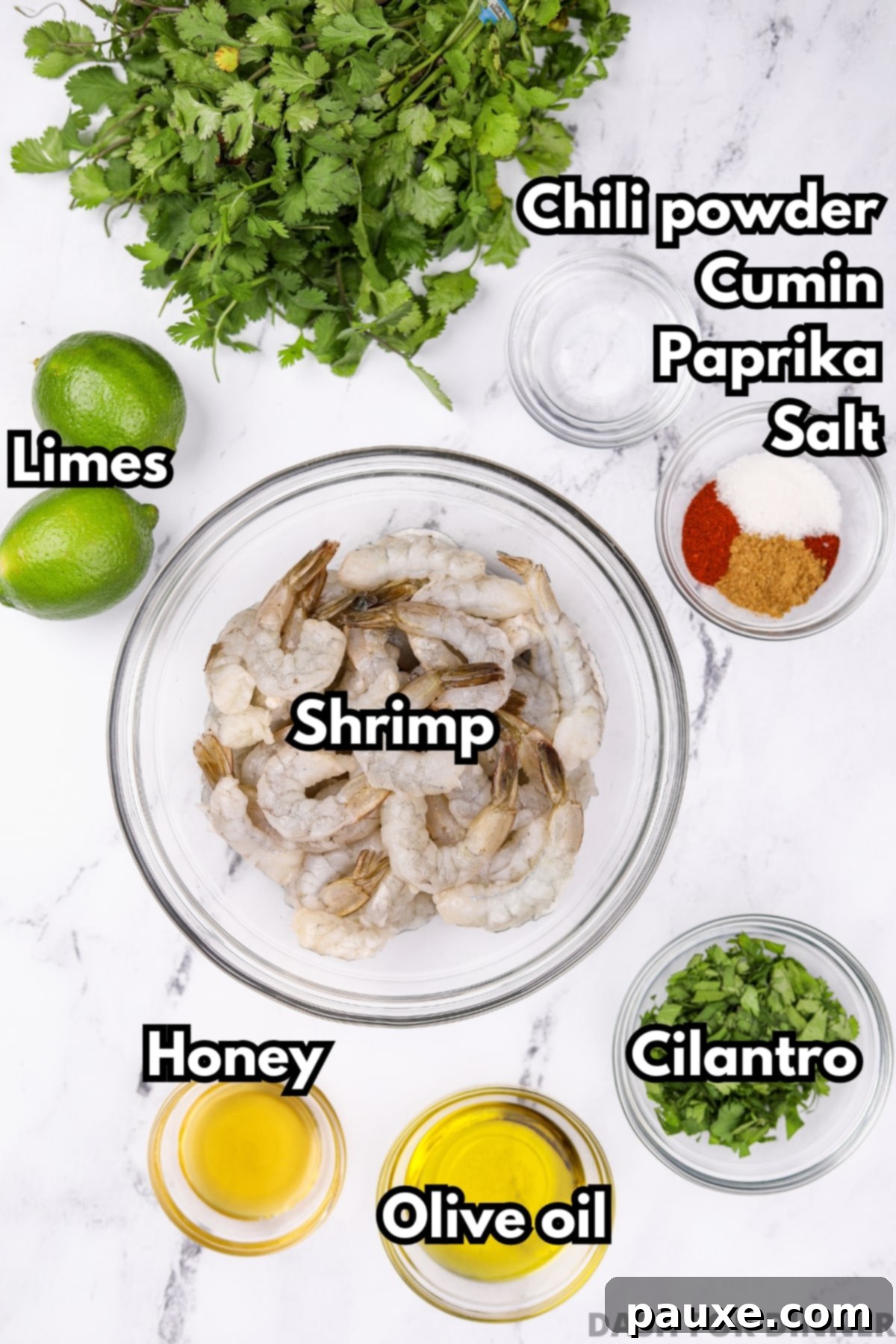 Zesty Cilantro Lime Shrimp 3 The vibrant ingredients needed to create flavorful cilantro lime shrimp, including fresh limes, a bunch of cilantro, raw shrimp, and various spices.