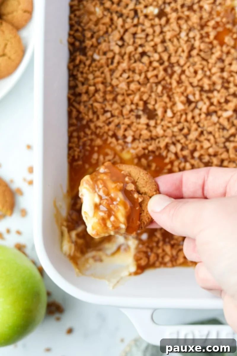 Irresistible Caramel Apple Delight 13 A charming scene of warmly spiced gingersnaps being dipped into the creamy caramel and cream cheese dip, generously topped with crunchy toffee bits, perfect for a fall treat.