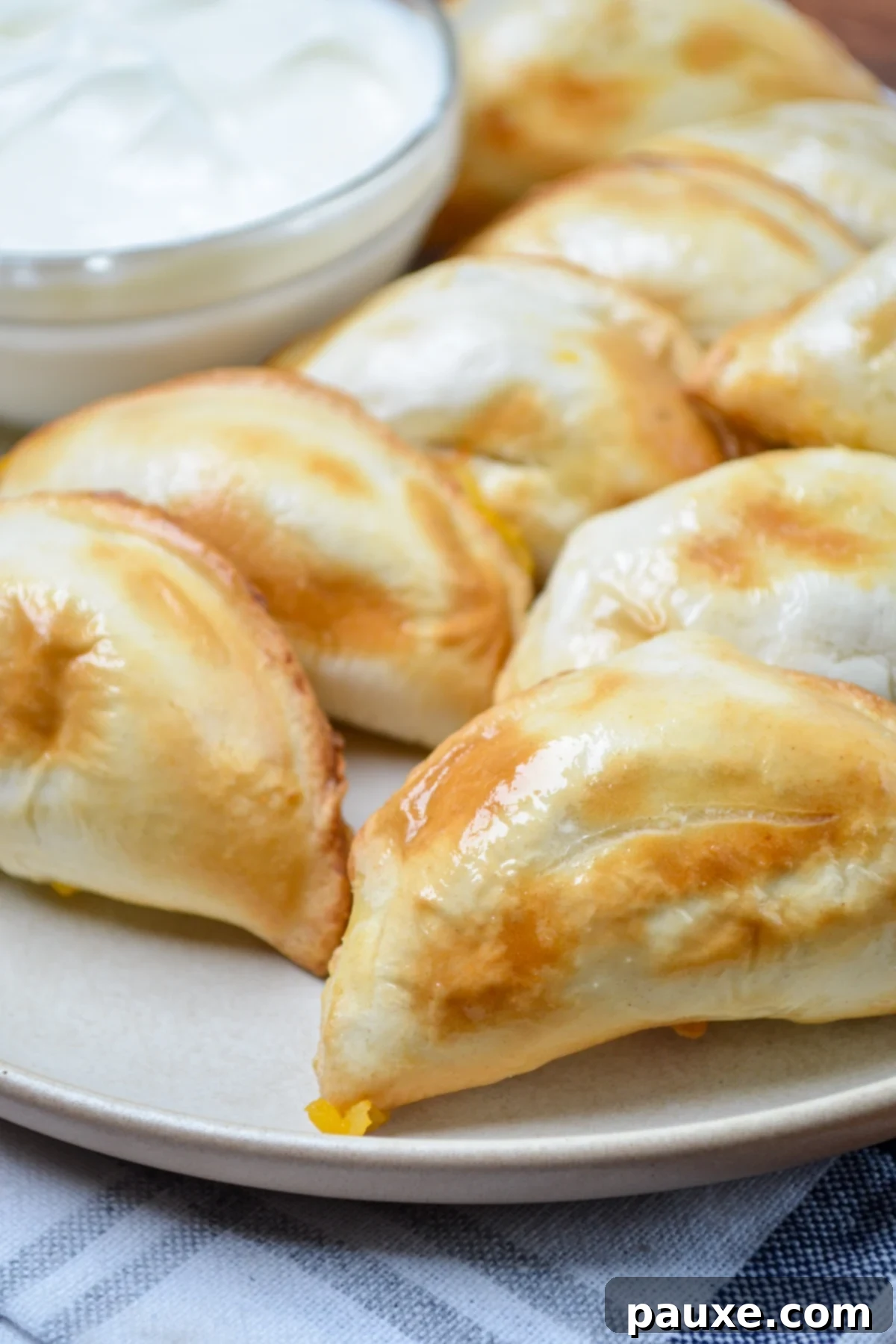 Quick and Crispy Air Fryer Frozen Pierogies 7 A plate of air fryer pierogies, with a side of sour cream.