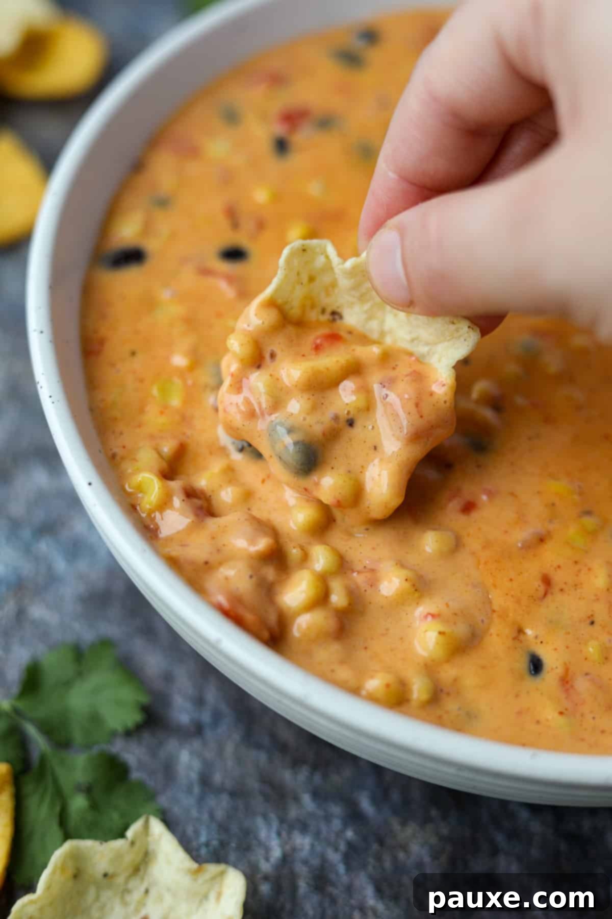 Zesty Fiesta Dip 2 Dipping a tortilla chip into creamy Southwest Dip with visible black beans and corn.