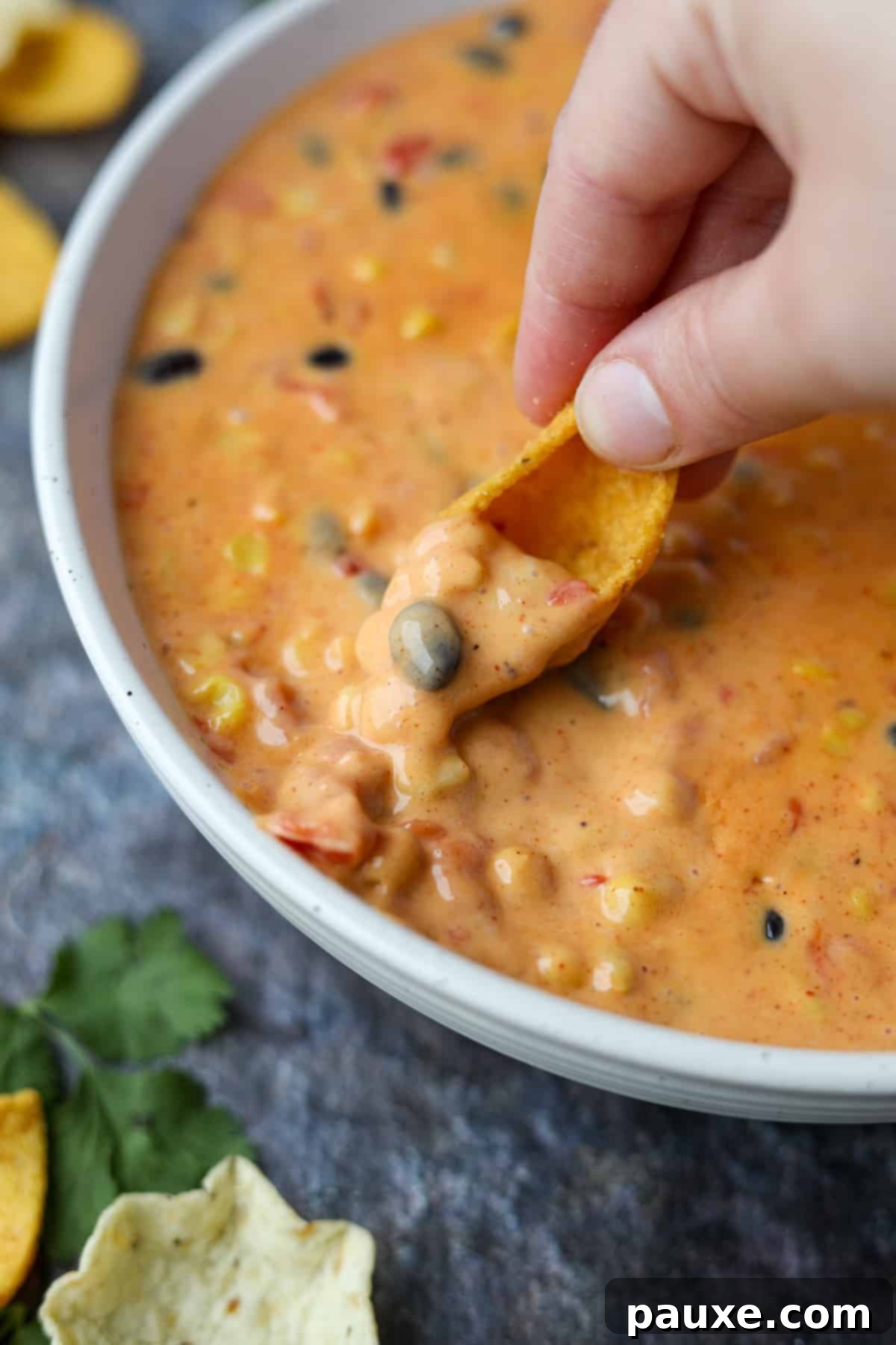 Zesty Fiesta Dip 11 A corn chip being dipped into a luscious Velveeta-based Southwest Dip, showcasing its creamy texture and visible ingredients.